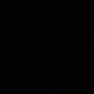 Meet your Posher, Bella